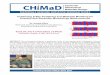 CH MaD Center for Hierarchical - Northwestern University · self assembly (DSA) of block copolymers (BCP) is one of the leading candidates for extending lithography to ever smaller