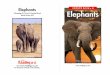 Elephants - Ms. Hurd's Third Grade Classmshurd914.weebly.com/uploads/2/2/4/5/22452278/elephants.pdf · 2019-09-11 · This elephant mom and her baby live in Africa. This elephant