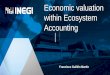 Economic valuation within Ecosystem Accounting...SEEA Mx and public policy Designed by iconicbestiary / Freepik Economic valuation within Ecosystem Accounting •General Law on Ecological