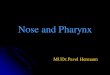 Nose and Pharynx - orl.lf1.cuni.cz · Structure of the Nose Nose, is the only visible part of the respiratory system and serves as the entrance to the respiratory tract The nose has