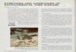 SYMPTOMS AND CONDITIONS OF …archive.lib.msu.edu/tic/wetrt/article/1979jun16.pdfSYMPTOMS AND CONDITIONS OF ENVIRONMENTAL TREE DISEASE By Eugene P. Van Arsdel Environmental diseases