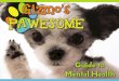 Gizmo basic powerpoint...sister Maggi. She is a retired therapy dog who spends her days relaxing, eating yummy snacks and watching over her little brother, k 9 First Responder Gizmo