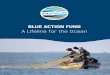 A Lifeline for the Ocean - Blue Action Fund...2 BLUE ACTION FUND A Lifeline for the Ocean BLUE ACTION FUND A Lifeline for the Ocean 3 THE OCEAN – AN ENDANGERED HABITAT All life on