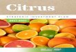 Citrus - Horticulture Innovation Australia · citrus levy payers through direct consultation with levy payers and teleconferences and workshops with Hort Innovation’s citrus industry