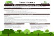 Tree Trails 5 - Texas Forest Infotexasforestinfo.tamu.edu/treetrails/pdf/5 Benefits and Values of Tree… · • Tree Trails Portfolio, Learning Log/Journal. 2 Module 5 ... Graphic