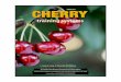 PNW 667 CHERRY · UFO-Y offers the advantage of higher yields due to greater light interception, as well as the potential for mechanical or mechanical-assist harvesting. Vogel Central