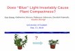 Does “Blue” Light Invariably Cause Plant Compactness?... · B =100 Blue • BRF0 = 94 Blue + 6 Red + 0 Far -red • BRF2 = 94 Blue + 6 Red + 2 Far -red • BRF4 = 94 Blue + 6