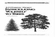 eec.ky.gov · another. Five types of trees in Kentucky have opposite leaf arrangement. They are: Dogwoods Ashes Maples Paulownia Buckeyes (or Horse chestnuts) An easy way to remember