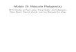 Module 19: Molecular Phylogenetics - phylo.bio.ku.eduphylo.bio.ku.edu/slides/sisg2016/2016_SISG_19_1.pdf · Module 19: Molecular Phylogenetics MTH thanks to Paul Lewis, Tracy Heath,