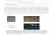 Reconstructing magma failure and the degassing network of ... · Petrography and microstructures of dome lava samples. (A) Photograph of a thin section (the crystals appears in white