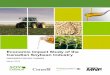 Economic Impact Study of the Canadian Soybean Industrysoycanada.ca/wp-content/uploads/2015/06/Soy-Canada-Economic-I… · INTRODUCTION Soy Canada is a national association representing