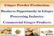 Ginger Powder Production. Business Opportunity in Ginger ...Ginger is one among the wonderful spice in Indian kitchen that leaves strong flavor to the curry to make. It is usually