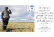 Changes in Vegetation Cover Across the Landscape Over Time at … · 2018-11-08 · Changes in Vegetation Cover Across the Landscape Over Time at Atqasuk and Utqiagvik, Alaska Jacob