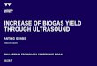 INCREASE OF BIOGAS YIELD THROUGH ULTRASOUND · INCREASE OF BIOGAS YIELD THROUGH ULTRASOUND THAI-GERMAN TECHNOLOGY CONFERENCE BIOGAS 11/2017 ANTING GRAMS H E AD O F S AL E S. 21.11.2017