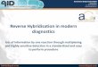 Reverse Hybridisation in modern diagnostics · Reverse Hybridisation in modern diagnostics lots of information by one reaction through multiplexing and highly sensitive detection