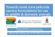 Towards novel zona pellucida vaccine formulations for use ... · Martin Schulman PhD MMedVet BVSc BSc MRCVS Section of Reproduction, Faculty of Veterinary Science, UP, South Africa