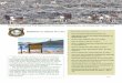 Wyoming Game and Fish Department Newsletter March 2018 · east side of the Wyoming Range, winter range com-plexes north and southwest of Kemmerer, and west side of the Salt River