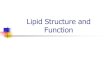 Lipid Structure and Functioncms.gcg11.ac.in/attachments/article/226/structure... · Common Physical Properties of Lipids Soluble in non-polar organic solvents Contain C, H, O Sometimes