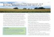 Insect Resistance Management and Refuge Requirements for ...corn.agronomy.wisc.edu/Management/pdfs/A3857.pdf · Insect Resistance Management and Refuge Requirements for Bt Corn Eileen