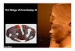 The Reign of Amenhotep III - Brown University · The 38 Year Reign of Amenhotep III ... • relationship between the king and the gods • Egypt’s position in the universe • royal