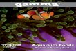 Aquarium Foods - TMC · Gamma Aquarium Foods Product and Feeding Guide brochure v2-2017_Layout 1 02/11/2017 12:59 Page 2 Background to TMC Tropical Marine Centre (TMC) has been Europe’s