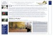 2008 Annual Report natural resources. Dear Virginia Master ... · special events. In addition, Master Naturalists are volunteering in the paleontology volunteersand archaeology labs,