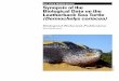 U.S. Fish & Wildlife Service Synopsis of the Biological ... · Biological Data on the Leatherback Sea Turtle (Dermochelys coriacea) Biological Technical Publication BTP-R4015-2012