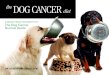 DOG CANCER diet - Land of PureGoldlandofpuregold.com/cancer/the-pdfs/DogCancerDiet.pdf · 2011-02-25 · Dog Cancer Diet Guidelines ... system that has been shown to help cancer –