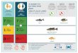 A Guide to Eating Fish from Oso Flaco Lake (San …...A GUIDE TO EATING FISH OSO FLACO LAKE (SAN LUIS OBISPO COUNTY) Eat the Good Fish Eating fish that are low in chemicals may provide