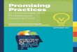 Promising Practices...Integrating professional skills into coursework what we do and do not value. Engagement with local, regional, national, and international networks Opportunities