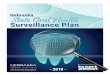 Nebraska State Oral Health Surveillance Plan 2018dhhs.ne.gov/Dental Health Documents/NE-Oral-Health... · 2020-05-13 · Nebraska Oral Health Surveillance Plan Tom Williams, MD Director,