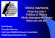 What are they? Politics of Vibrios Vibrio Management Plans ...€¦ · Impacts of FDA ban •The slippery slope where we are mandated to eliminate all risk … we end up with sterilized