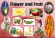 Flower and Fruit - KSU · 2016-04-07 · Flower and Fruit . The flower helps the plant to reproduce. Basic Flower Structure stigma style ovary locule ovule carpel gynoecium pollen