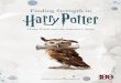 Harry Potter and the Sorcerer’s Stone · 2020-05-05 · BELONGING Feeling needed, loved, and respected in your family, community, and in the world as a whole. Feeling Different