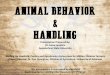 ANIMAL BEHAVIOR HANDLING...ANIMAL BEHAVIOR & HANDLING This presentation is sponsored by the USDA Beginning Farmer and Rancher Development Program. Presentation Prepared By: Dr. Anne