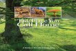 ThePlaceYou CallHome - Forest Stewardship Magazinethat landowners make informed choices about how to manage their woods. Unfortunately, there’s evidence of a gap between woodland