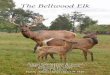 The Bellwood Elk - Defense Logistics Agency · The elk live in a 25-acre fenced preserve, with vegetation consisting of low grasses and a dense stand of oak trees. Although the Bellwood