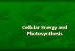 Photosynthesis and Cellular Respiration · Cellular Respiration is the chemical reaction that breaks down glucose and uses the energy to make ATP. –Glucose is made during Photosynthesis