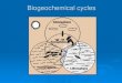 Biogeochemical cycles - AP ENVIRONMENTAL …maroonapes.weebly.com/.../biogeochemical_cycles__1__2.pdfBiogeochemical cycles move these substances through air, water, soil, rock and