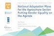 National Adaptation Plans for the Agriculture Sector ... · National Adaptation Plans for the Agriculture Sector: Putting Gender Equality on the Agenda Sibyl Nelson Gender Advisor