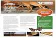 THE SHARED UNIVERSE VENTURES NEWSLETTER · THE SHARED UNIVERSE VENTURES NEWSLETTER DECEMBER 2015 The Mopane Bush Lodge story can be closely linked to the life cycle of the Mopane
