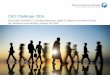 CEO Challenge 2016 - Americans for the Arts CEO... · CEO CHALLENGE 2016 6 Big-Picture Trends Improving organizational capabilities to drive better business results and inspire innovation