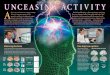 Alex Carter, MD, PhD, and Maurizio Corbetta, MD, assess brain … · Alex Carter, MD, PhD, and Maurizio Corbetta, MD, assess brain imaging data. Steven E. Petersen, PhD, right, and