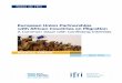 European Union Partnerships with African Countries on Migration · PDF file European Union Partnerships with African Countries on Migration A Common Issue with Conflicting Interests