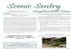 Scenic Sentry… · Scenic Sentry Board of Directors President Libby Gibbs.....mwgekg@austin.rr.com, 288-6069 Vice-President Desiree Whitely.....vp_sbna@yahoo.com Treasurer/Pool Director