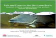 Fish and Flows in the Northern Basin - Murray-Darling Basin … · 2019-03-22 · iv Table i: Proposed site-specific flow indicators and associated ecological targets for the Barwon-Darling