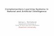 Complementary Learning Systems in Natural and Artificial ... · Complementary Learning Systems in Natural and Artificial Intelligence James L. McClelland Department of Psychology