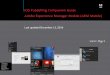 iOS Publishing Companion Guide Adobe Experience Manager ... THE APP BUILDER will generate two different