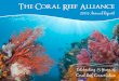 The Coral Reef Alliance · The Coral Reef Alliance Manifesto CORAL believes in the majesty and mystery of coral reefs, and in their ability to teach, sustain, inspire, and give life