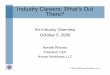 Industry Careers: What’s Out There? · © 2008-2009 Human Workflows, LLC Industry Careers: What’s Out There? Randall Ribaudo President, CEO Human Workflows, LLC An Industry Overview